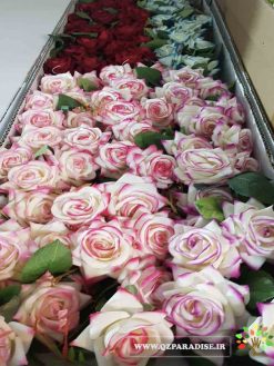 گل مصنوعی AFM80 Artificial Flower