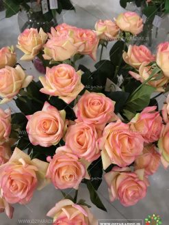 تک شاخه مصنوعی AFA62 Artificial Flower