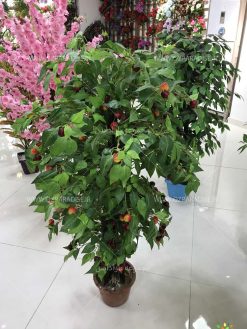 درختچه مصنوعی AFA21 Artificial shrubs