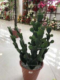 درختچه مصنوعی AFA5 Artificial shrubs