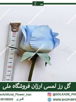 رز لمسی ابی کدafa93