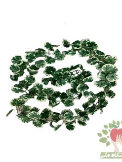 ریسه مصنوعی پاپیتالAFA17