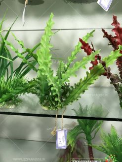 گیاه مصنوعی آکواریوم PA89 Plant Aquarium