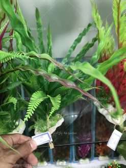 گیاه مصنوعی آکواریوم PA137 Plant Aquarium