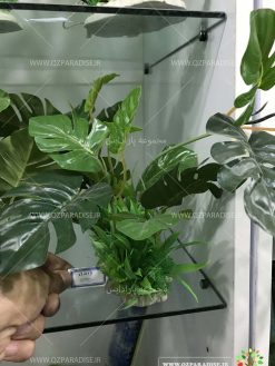 گیاه مصنوعی آکواریوم PA139 Plant Aquarium