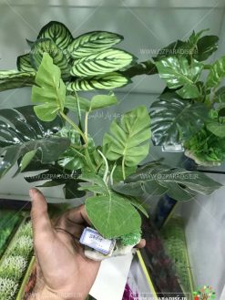 گیاه مصنوعی آکواریوم PA140 Plant Aquarium
