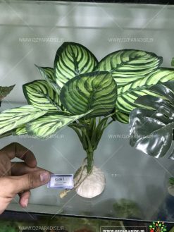 گیاه مصنوعی آکواریوم PA141 Plant Aquarium