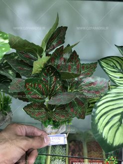 گیاه مصنوعی آکواریوم PA142 Plant Aquarium