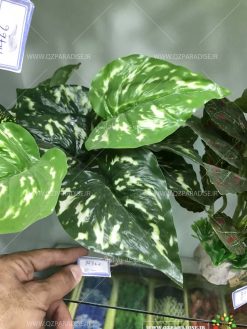 گیاه مصنوعی آکواریوم PA143 Plant Aquarium