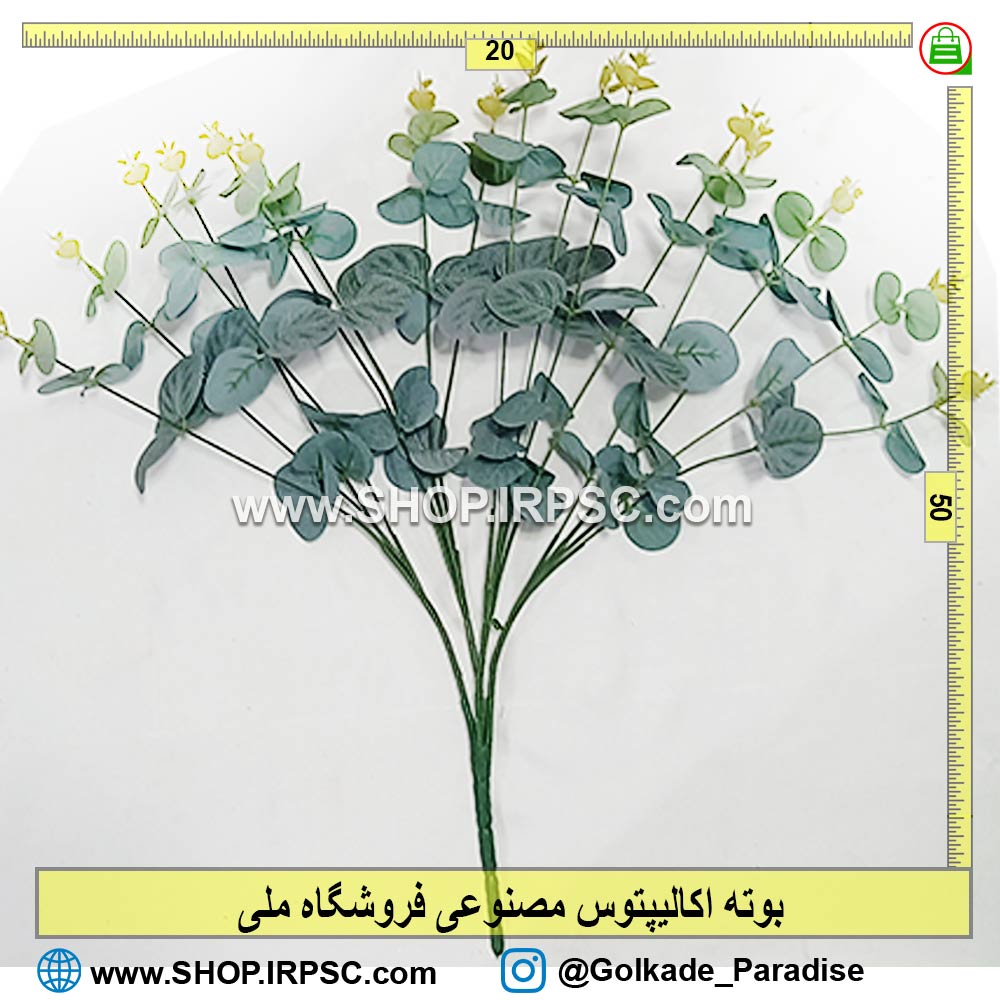 بوته مصنوعی اکالیپتوس ارزان