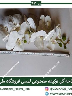 گل ارکیده لمسی