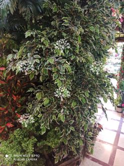 درختچه مصنوعی درجه یک AFN118 ارسال به سراسر ایران