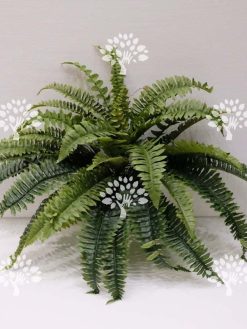 سرخس مصنوعی کد AFA461