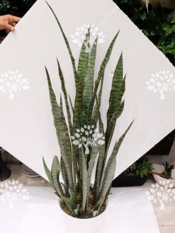 Alternative view of گل مصنوعی سانسوریا کدAFA460