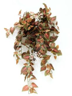 Alternative view of گیاه رونده مصنوعی AFA22 Plant pendant