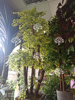 درختچه مصنوعی درجه یک AFN124 با بهترین کیفیت و نازل ترین قیمت ها