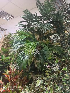 درختچه مصنوعی درجه یک AFN121