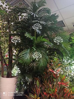 درختچه مصنوعی درجه یک AFN121