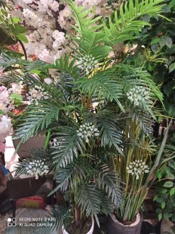 درختچه مصنوعی درجه یک AFN121