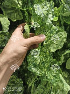 گیاه رونده مصنوعی AFA23 Plant pendant