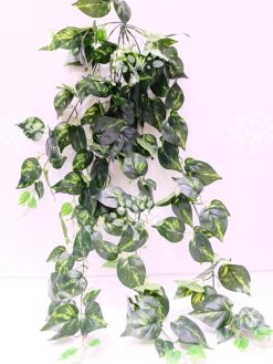 گیاه رونده مصنوعی AFA24 Plant pendant با بهترین کیفیت ها