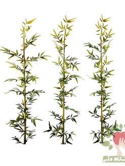 بامبو خیزران مصنوعی تک شاخه Artificial bamboo