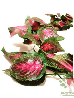 گیاه رونده مصنوعی حسن یوسف