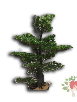 درحتچه بنسای مصنوعی کاج