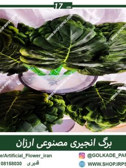 پخش مستقیم برگ مصنوعی