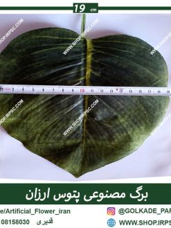 برگ مصنوعی پشت کار