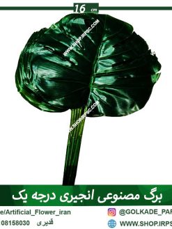 برگ مصنوعی انجیری