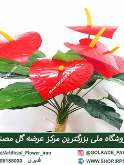 بوته مصنوعی آنتوریوم RA014