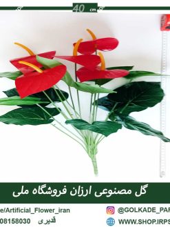 بوته مصنوعی آنتوریوم RA014