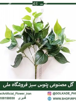 گل مصنوعی پتوس Ra010