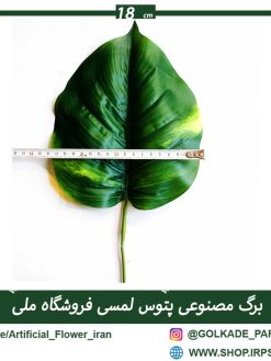 برگ مصنوعی پتوس لمسی