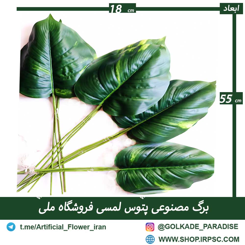 برگ مصنوعی پتوس لمسی