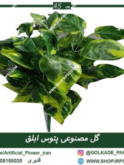 گیاه مصنوعی پتوس