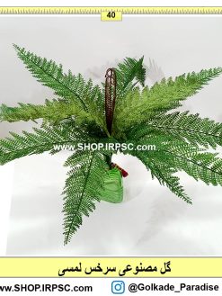 بوته مصنوعی سرخس
