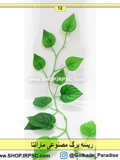 ریسه برگ مصنوعی مارانتا