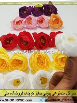 سر گل پیونی کوچک