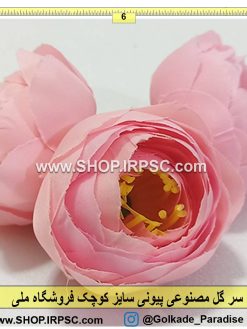 سر گل پیونی کوچک
