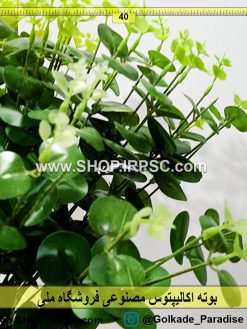 گل مصنوعی اکالیپتوس لمسی