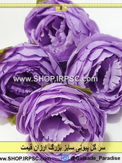 سر گل پیونی بزرگ