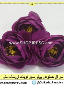 سر گل پیونی کوچک