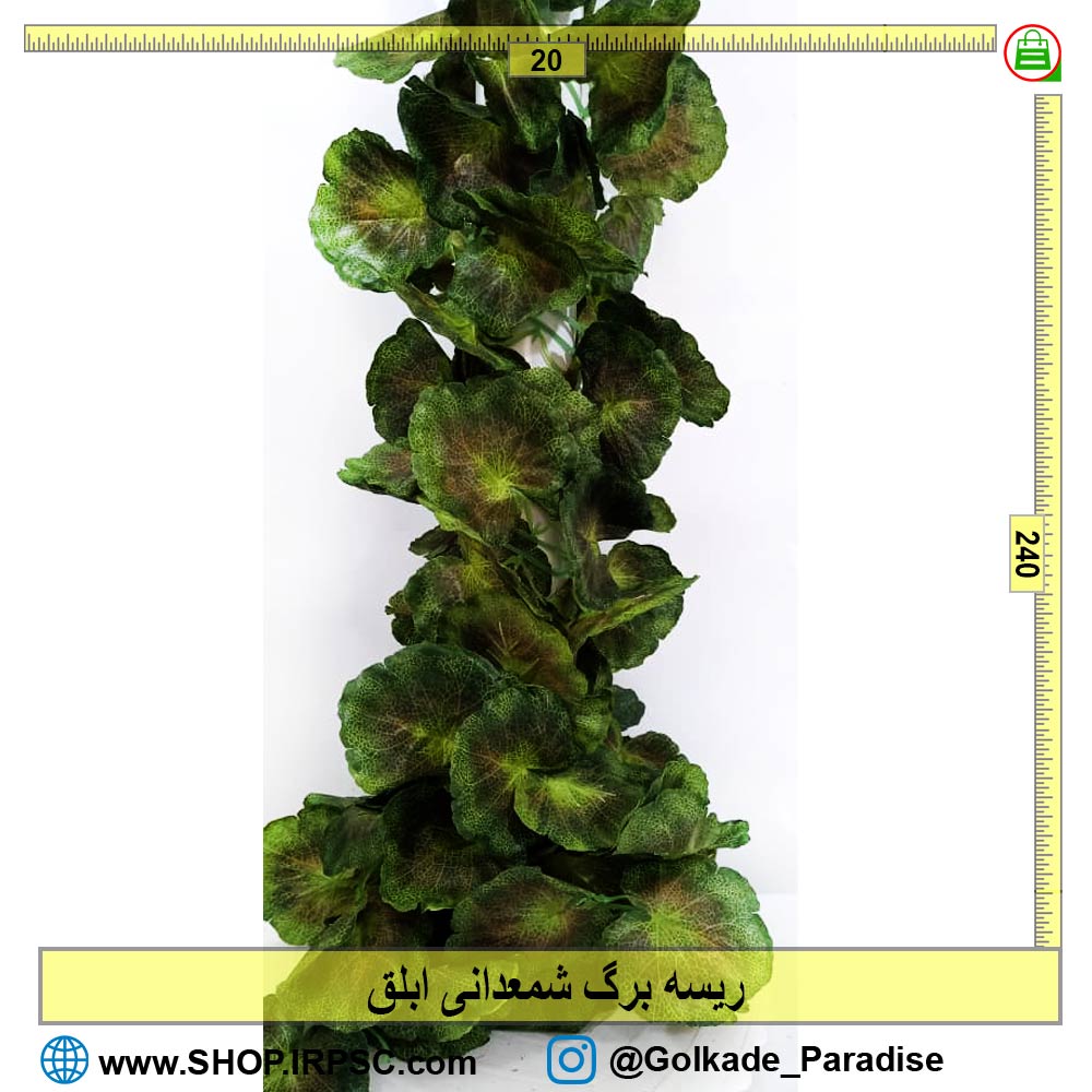 "برگ