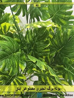 بوته برگ انجیری ابلق | گل برگ انجیری مصنوعی