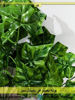 بوته مصنوعی پاپیتال سبز | گل مصنوعی دیواری پاپیتال