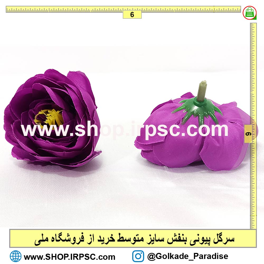 سرگل پیونی بنفش متوسط |سرگل نسترن بنفش