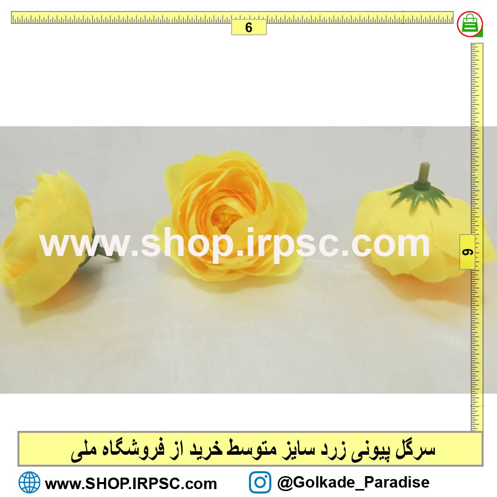 سرگل پیونی زرد متوسط