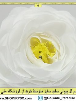 سرگل پیونی سفید متوسط
